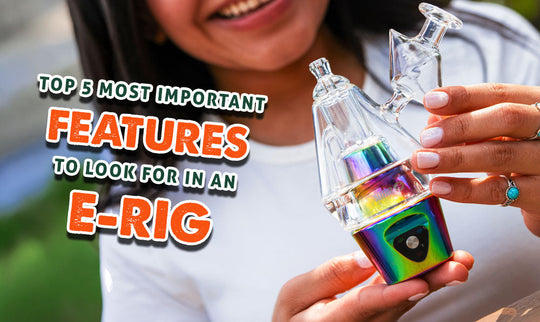 ¡Las 5 características más importantes que debes buscar en un E-Rig!